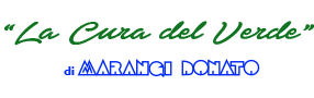 La cura del Verde Logo